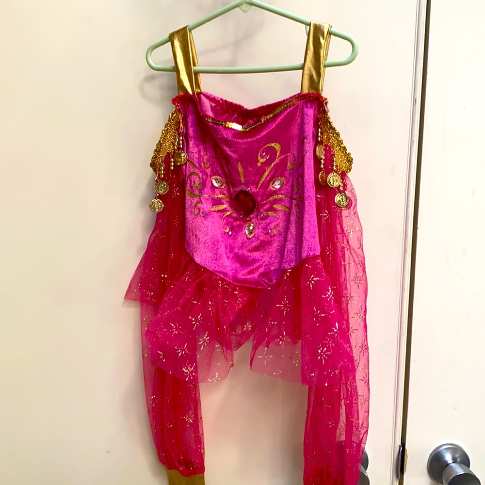 Girls Chasing Fireflies Arabian Genie Costume sz10